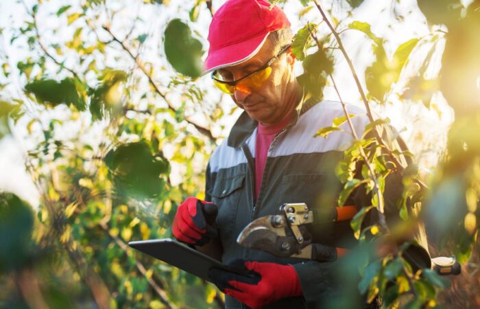 Photo of a man working in an orchard holding a tablet device