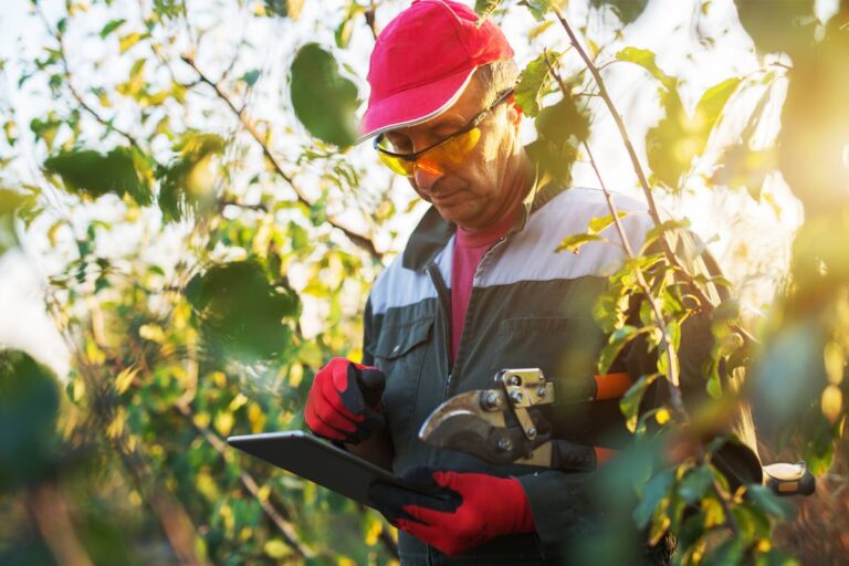 Photo of a man working in an orchard holding a tablet device