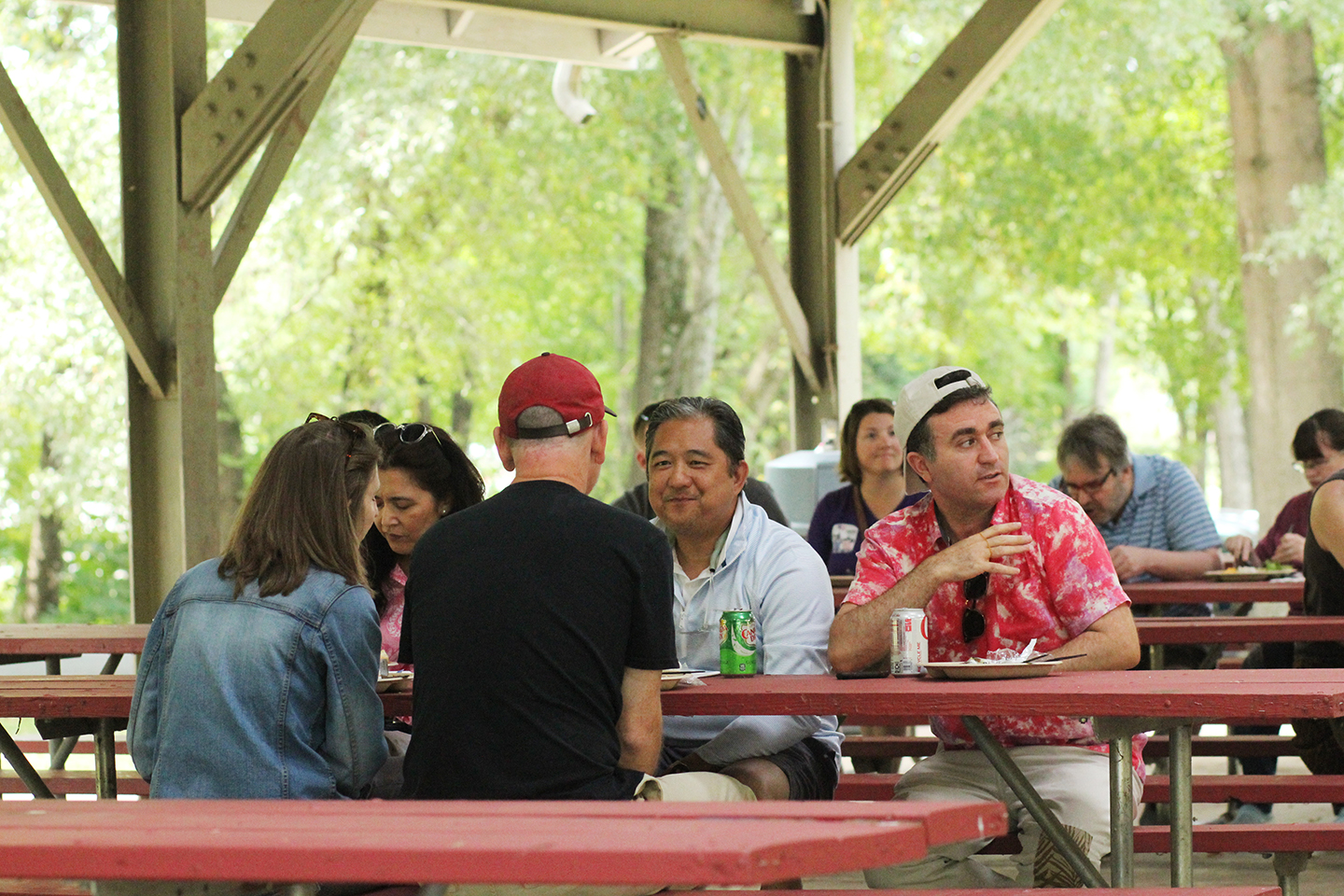 Synergists talking with one another over lunch at the company picnic