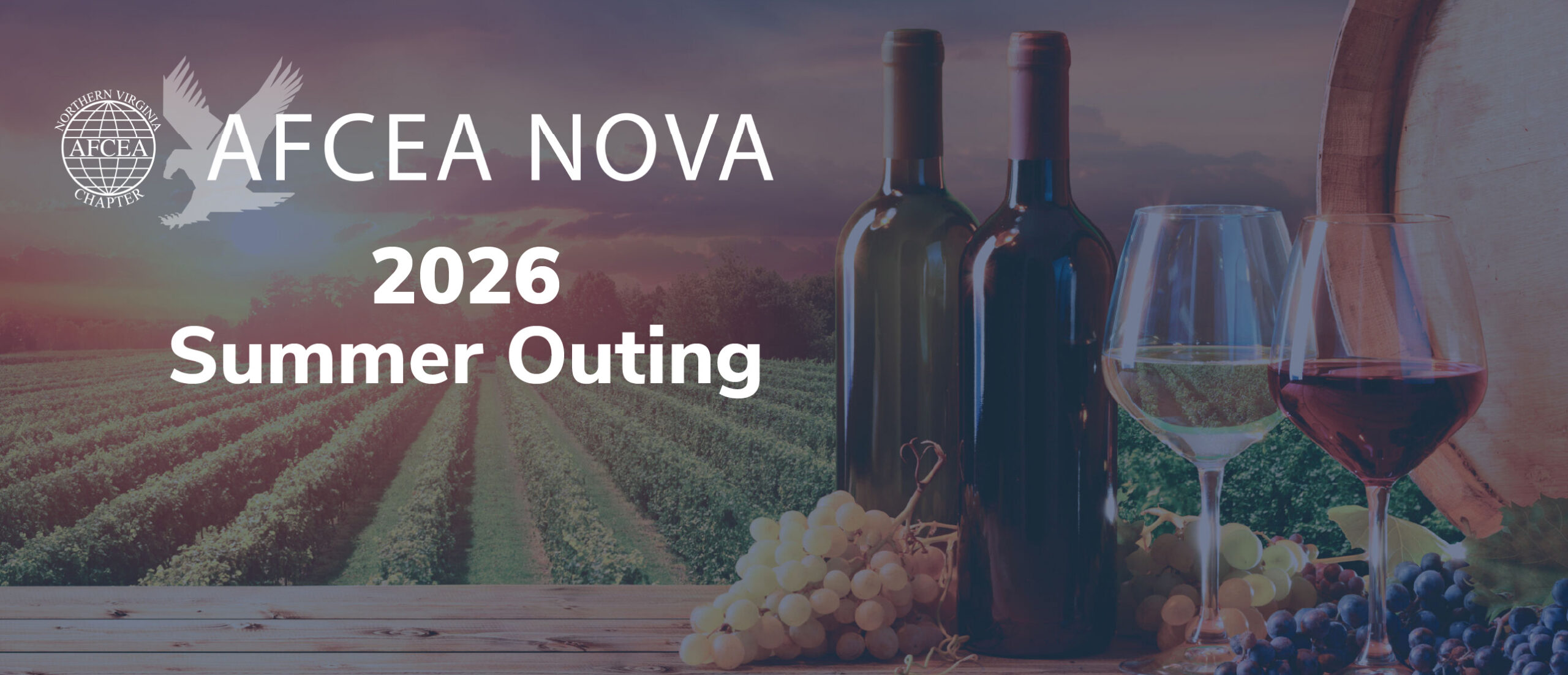 AFCEA Nova Summer Outing